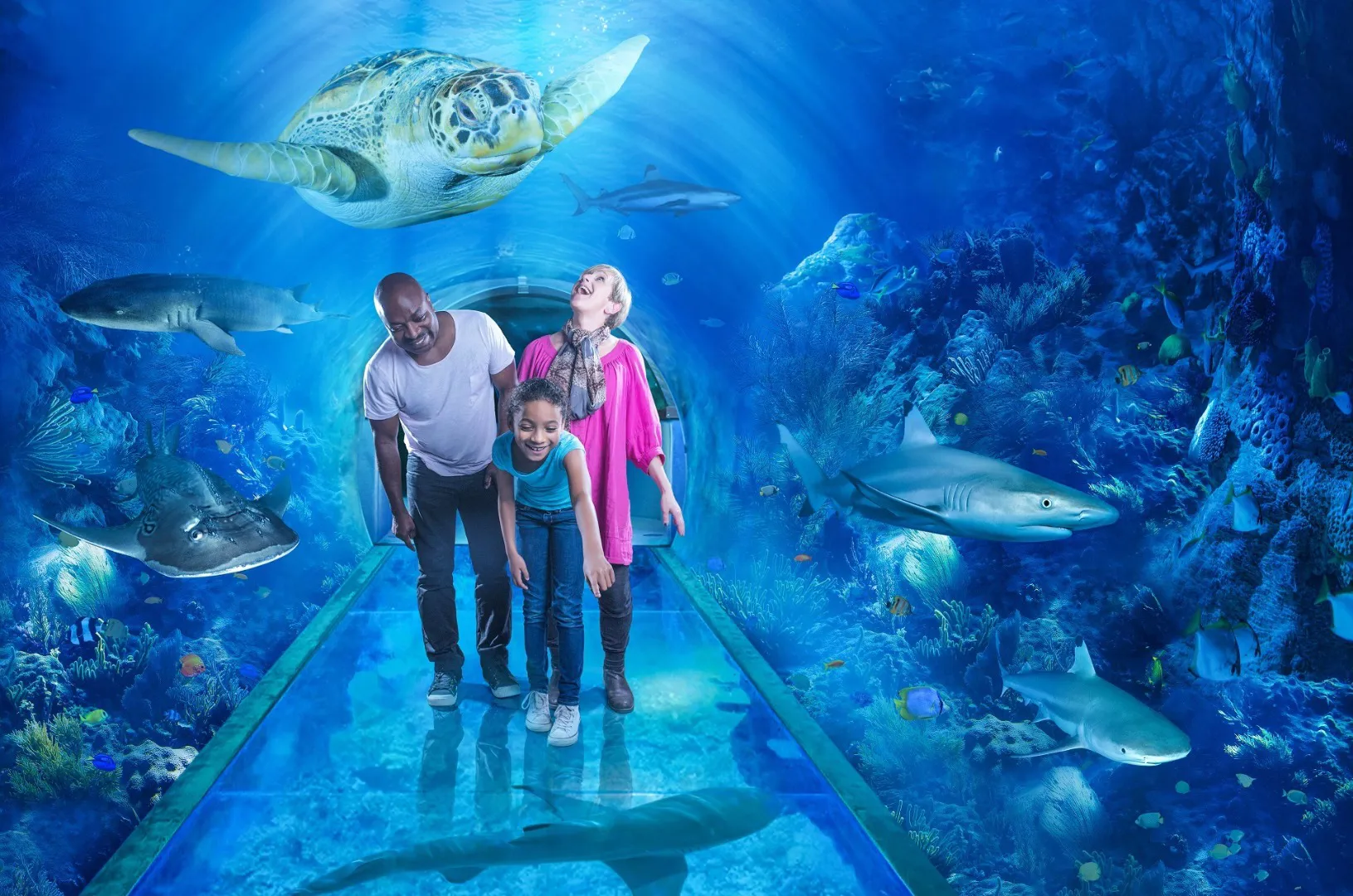 Family enjoying National Sea Life Centre Birmingham aquarium tunnel